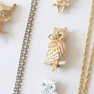 🦉 Vtg 70s wise owl pin